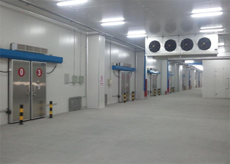 低温冷库建造