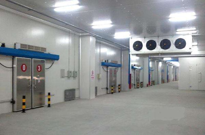 冷链运输公司助力食品新鲜“速”达